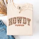 XXXL Ivory Cream Howdy Pumpkin Fall Brush Stroke Floral Pumpkin Frame Vintage Varsity Collegiate Autumn Graphic Comfort Colors Tee