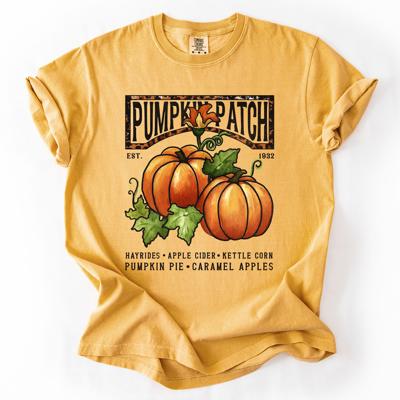 Pumpkin Patch Leopard Print Watercolor Pumpkins And Bouquet Autumn Comfort Colors Tee