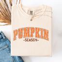 Large Ivory Cream Pumpkin Season Classic Varsity Halloween Fall Autumn Watercolor Leopard Pumpkins Bouquet Comfort Colors Tee