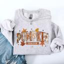 XXXL Ash Light Gray Pumpkin Season, Stars And Leaves Watercolor Autumn Scene Print Sweatshirt