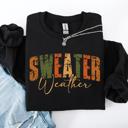 XXXL Black Sweater Weather Fall Retro Varsity Autumn Pumpkin Cozy Vintage Harvest Seasonal Americana Fall Vibes Sweatshirt