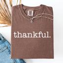 XXXL Espresso Brown Thankful, Fall, Thanksgiving, Minimalist, Autumn, Thanksgiving, Comfort Colors Tee