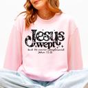 XL Light Pink Jesus Wept But He Never Complained Strength Faith Gospel Retro Checkered Snowflake Sweatshirt