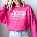 Small Heliconia Bright Pink Jesus Wept But He Never Complained Strength Faith Gospel Retro Checkered Snowflake Sweatshirt