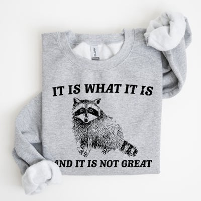 It Is What It Is And It Is Not Great Raccoon Trash Panda Meme Edition Sweatshirt