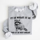  It Is What It Is And It Is Not Great Raccoon Trash Panda Meme Edition Sweatshirt
