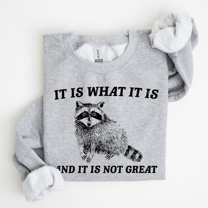 It Is What It Is And It Is Not Great Raccoon Trash Panda Meme Edition Sweatshirt