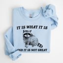 XL Light Blue It Is What It Is And It Is Not Great Raccoon Trash Panda Meme Edition Sweatshirt