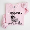 XXL Light Pink It Is What It Is And It Is Not Great Raccoon Trash Panda Meme Edition Sweatshirt