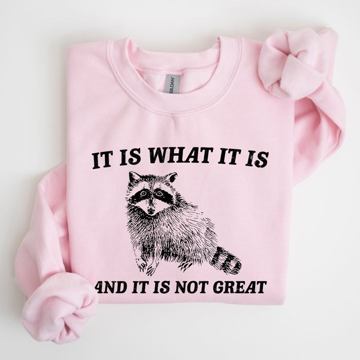 It Is What It Is And It Is Not Great Raccoon Trash Panda Meme Edition Sweatshirt