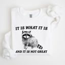 Large White It Is What It Is And It Is Not Great Raccoon Trash Panda Meme Edition Sweatshirt