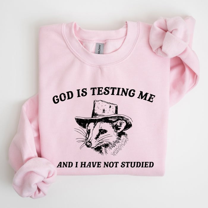 God Is Testing Me And I Have Not Studied Opossum Possum Meme Classic Edition Sweatshirt