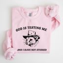 Small Light Pink God Is Testing Me And I Have Not Studied Opossum Possum Meme Classic Edition Sweatshirt