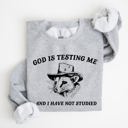 Small Heather Sport Gray God Is Testing Me And I Have Not Studied Opossum Possum Meme Classic Edition Sweatshirt