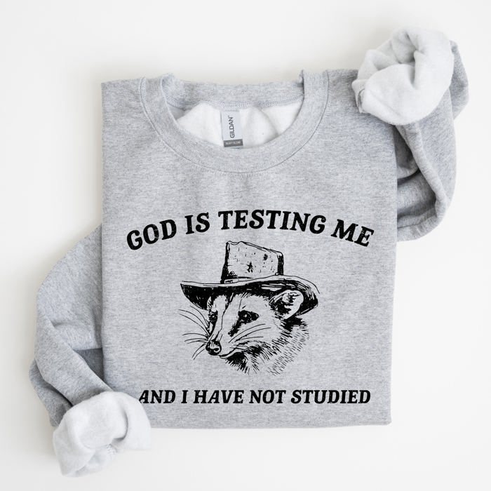 God Is Testing Me And I Have Not Studied Opossum Possum Meme Classic Edition Sweatshirt