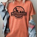  Motherhood Witch Ghost Skull Spooky Meme Halloween Costume Graphic Comfort Colors Tee