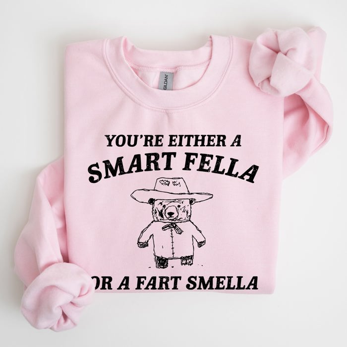 You're Either a Smart Fella Or a Fart Smella Bear Meme Graphic Cozy Fleece Lined Sweatshirt