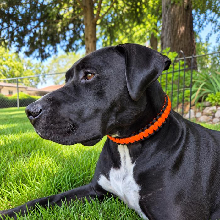 Handmade Paracord Dog Collars High-Visibility Colors 