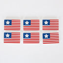Flags Refrigerator Magnets - Handmade - Set of 6 Chunky Wood Shapes