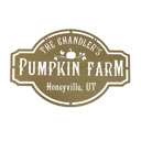 Tabletop - 15 inch Pumpkin Farm Custom Name Sign – Personalized Fall Decor with Family Name – Farmhouse Autumn Sign for Porch, Mantel, or Entryway