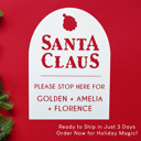 Hanging - 21" Santa Claus Personalized Christmas Stop Sign – Tabletop or Hanging