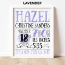  Birth Stats Art Print | 10 Colors | 8x10| Personalized Gift | Free Shipping