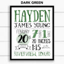  Birth Stats Art Print | 10 Colors | 8x10| Personalized Gift | Free Shipping