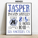  Birth Stats Art Print | 10 Colors | 8x10| Personalized Gift | Free Shipping