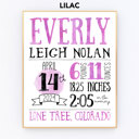  Birth Stats Art Print | 10 Colors | 8x10| Personalized Gift | Free Shipping