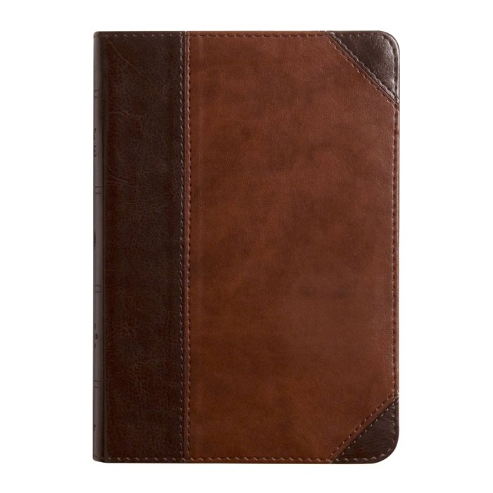 Custom ESV Dark Brown Compact Size Personalized Holy Bible Medium Print