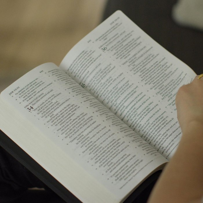 Custom ESV Dark Brown Standard Size Personalized  Holy Bible Medium Print | Royal Lion