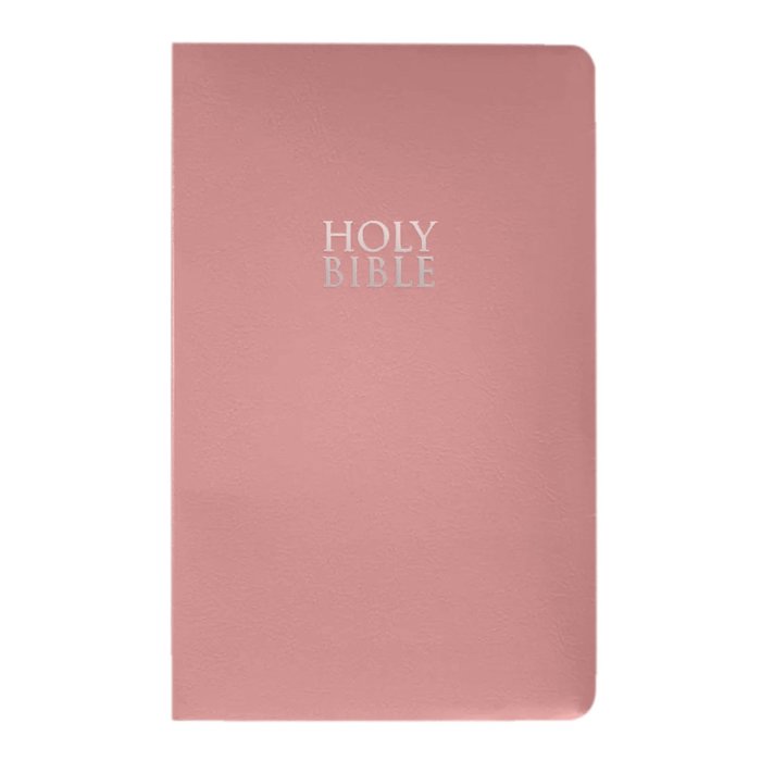 Custom NIV Pink Standard Size Personalized Holy Bible Small Print