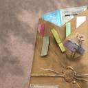 Multi-Colored Toned Cozy Night in with a Book Bundle Pick your Book Title and Color Theme
