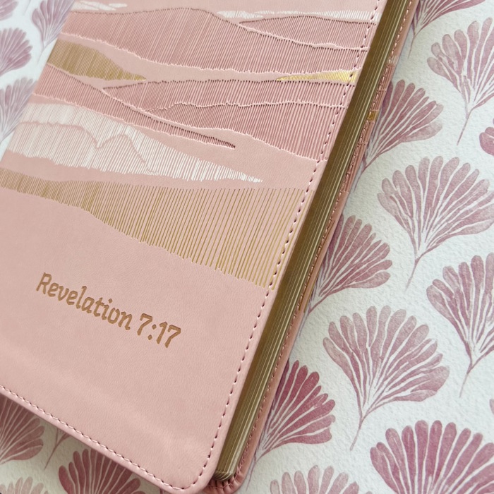 Personalized NIV Holy Bible with Gift Wrap Tabs and Engraving