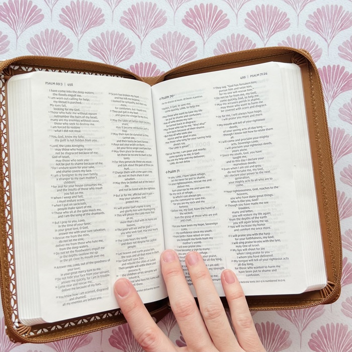 Personalized NIV Holy Bible with Gift Wrap Tabs and Engraving