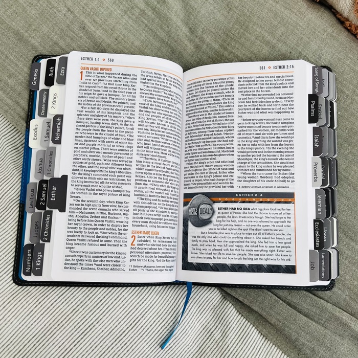 Personalized NIV Holy Bible with Gift Wrap Tabs and Engraving