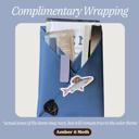 Unisex Bible Personalized NIV Holy Bible with Gift Wrap Tabs and Engraving
