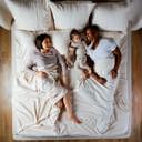Queen Coastal Ivory Splitz® CoolTouch 2000TC Sheet Set for Couples, Pet Owners & Co-sleeping Families