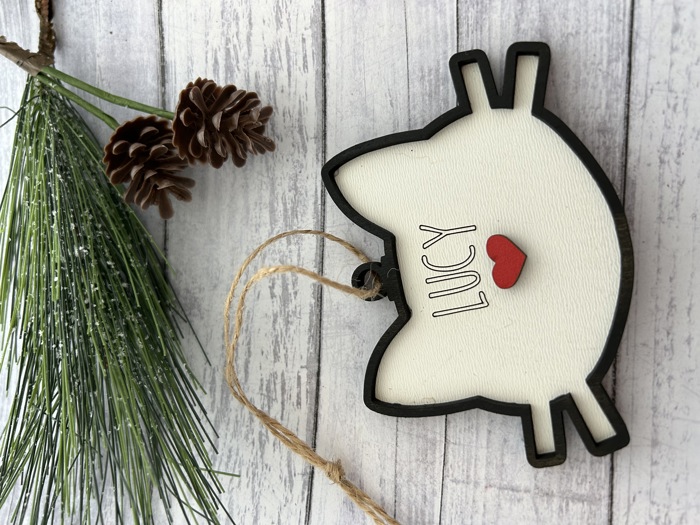 Cat Ornament. Personalized Ornament for pet.