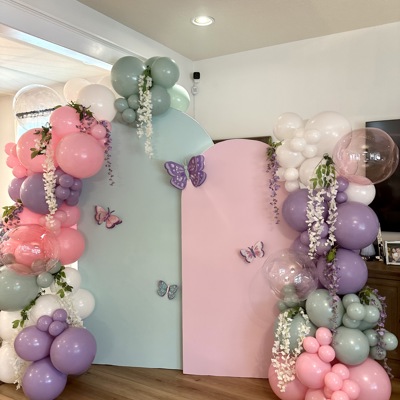 Balloon Package Butterfly