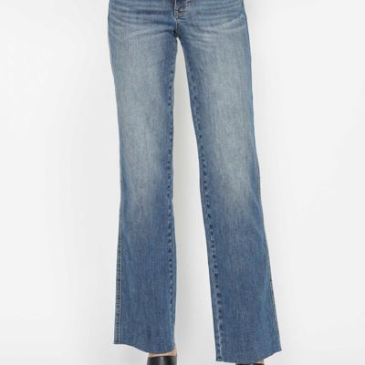 Judy Blue Mid Rise "Tummy Control" Vintage Straight Denim 88870 - Plus