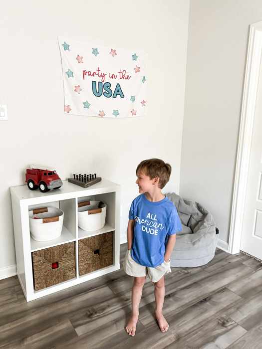 Party in the USA Banner - 4th of July Memorial Day Backdrop