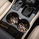  Personalized Animal Print Sandstone Car Coasters – Set of 2