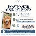  Personalized Pet Tea Towel Custom Dog Photo