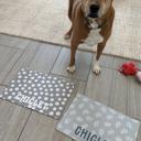  Pet Mat Whimsical Designs - 4 Sizes