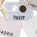  Pet Mat Whimsical Designs - 4 Sizes