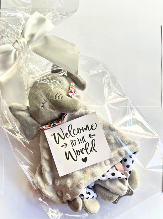 Elephant Baby Comforter Security Minky Blanket