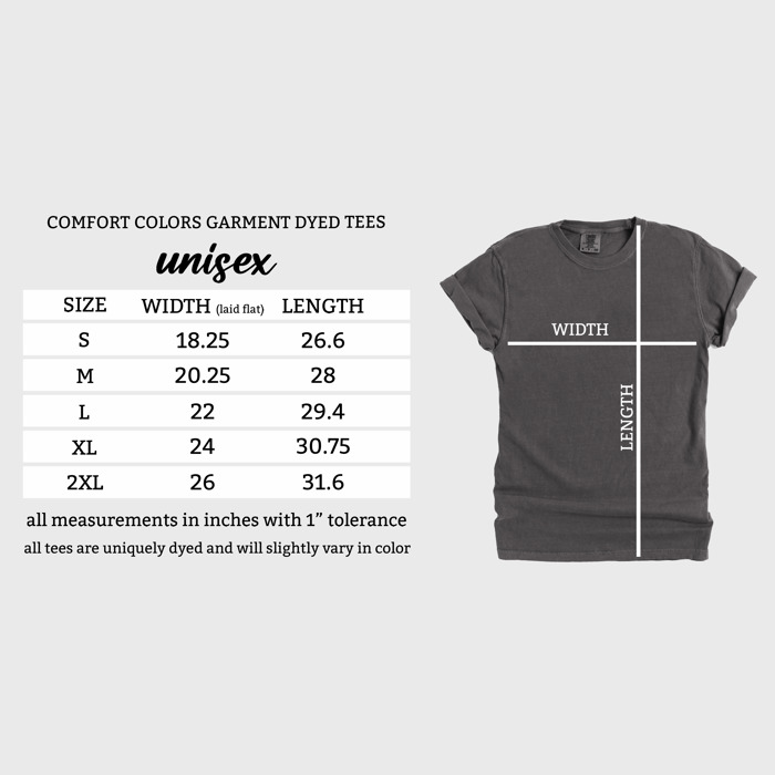 Wizard School New Comfort Colors Tee