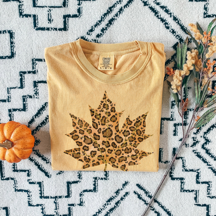 Trendy Fall and Halloween T-Shirts – Cute Spooky Season Graphic Tees for Moms, Teachers, Pumpkin Patch, and 31 Days of Halloween