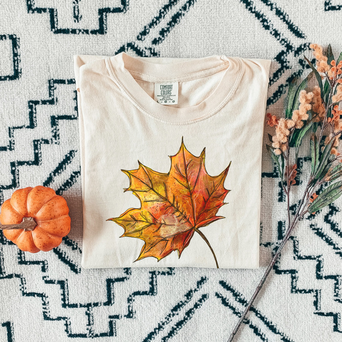 Trendy Fall and Halloween T-Shirts – Cute Spooky Season Graphic Tees for Moms, Teachers, Pumpkin Patch, and 31 Days of Halloween